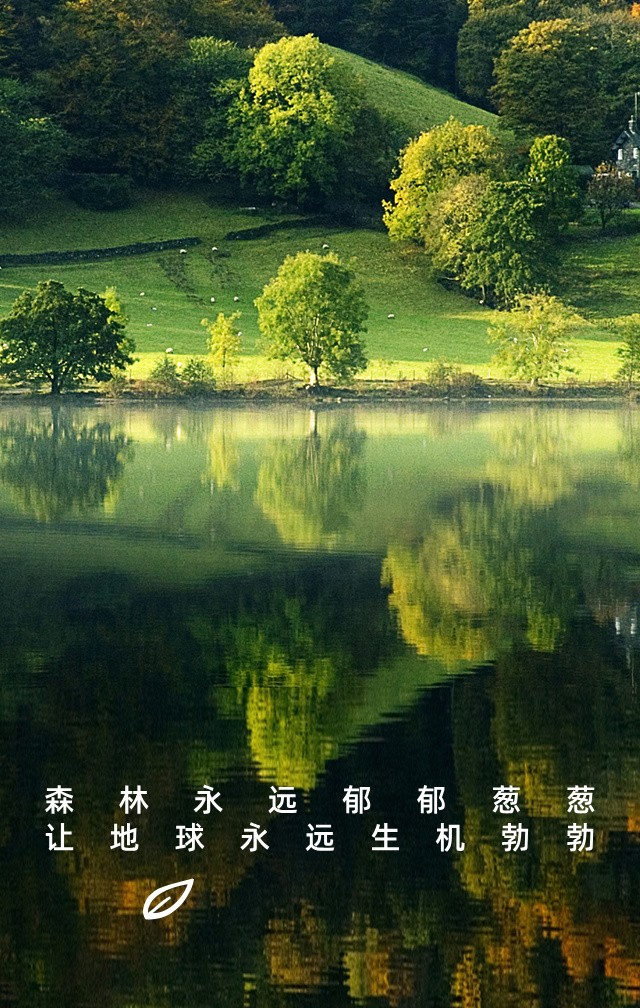 6.5世界环境日主题宣传手机海报__2025-08-15+10_09_03.jpg